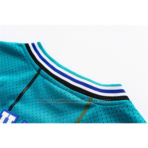 Maillot Charlotte Hornets Dell Curry #30 Retro Vert